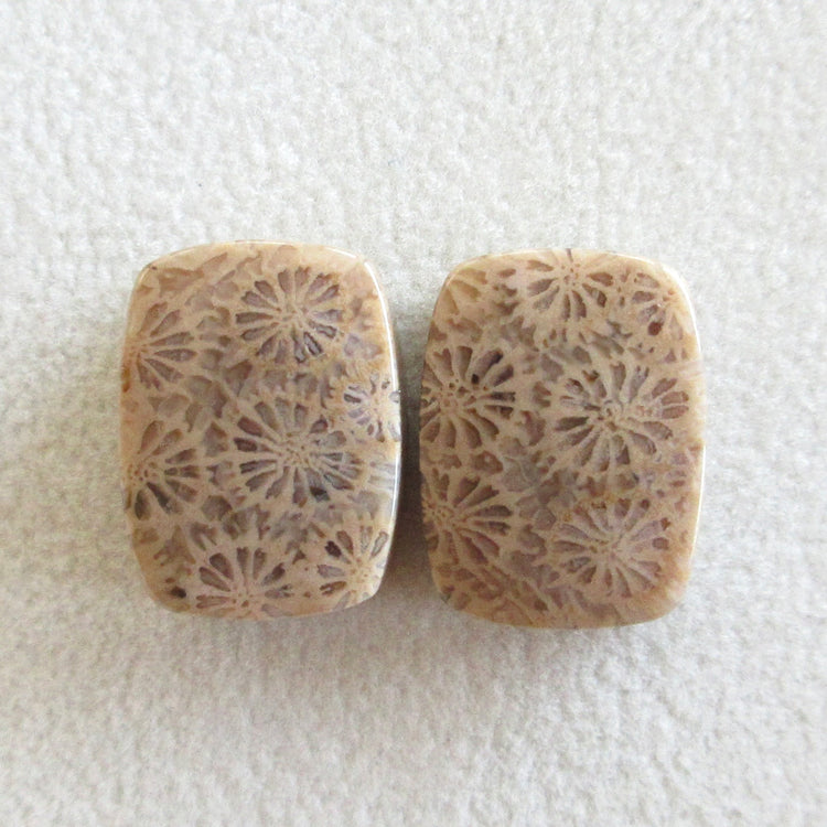 フォッシルコーラル 天然石ルースペア