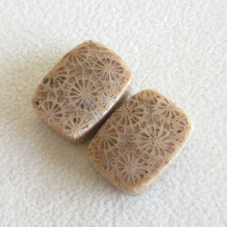 フォッシルコーラル 天然石ルースペア