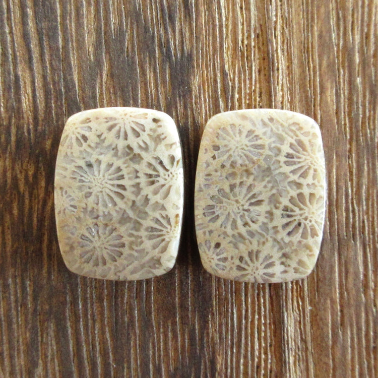 フォッシルコーラル 天然石ルースペア