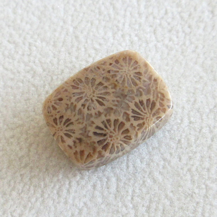 フォッシルコーラル 天然石ルースペア