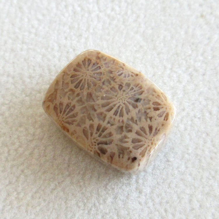 フォッシルコーラル 天然石ルースペア