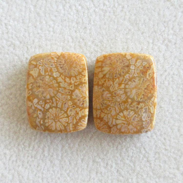 フォッシルコーラル 天然石ルースペア