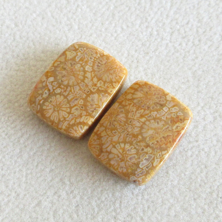 フォッシルコーラル 天然石ルースペア