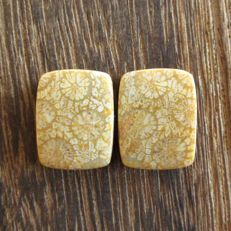 フォッシルコーラル 天然石ルースペア