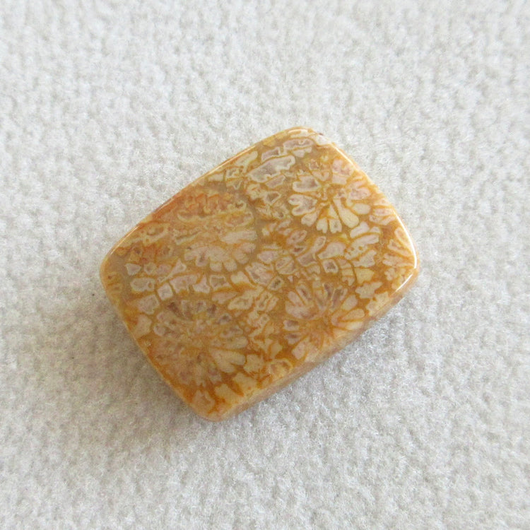 フォッシルコーラル 天然石ルースペア