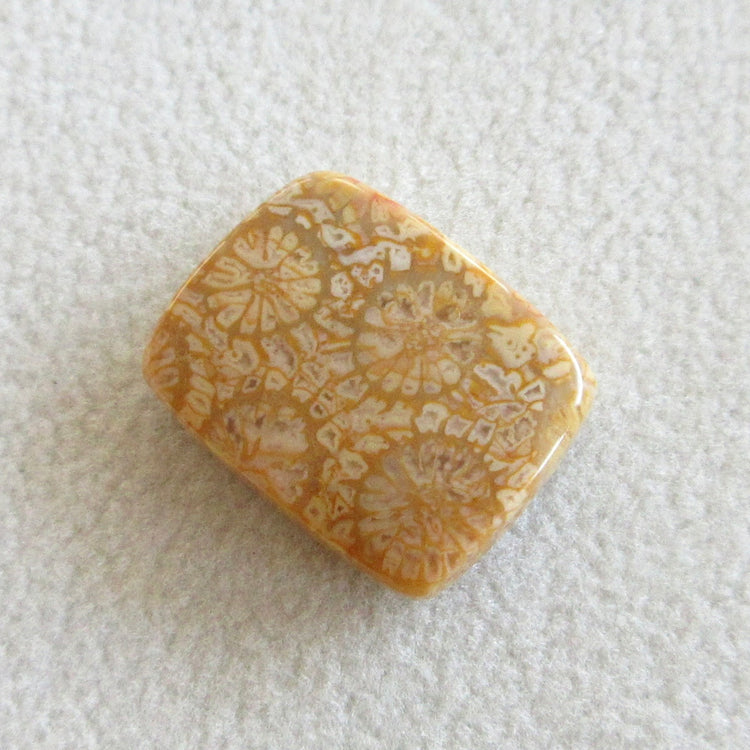 フォッシルコーラル 天然石ルースペア