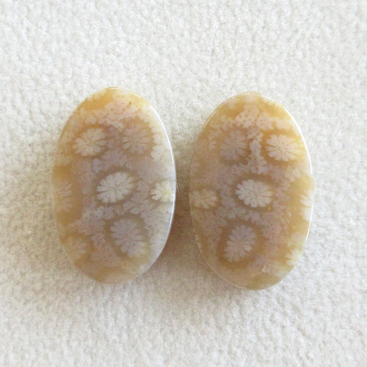 フォッシルコーラル 天然石ルースペア