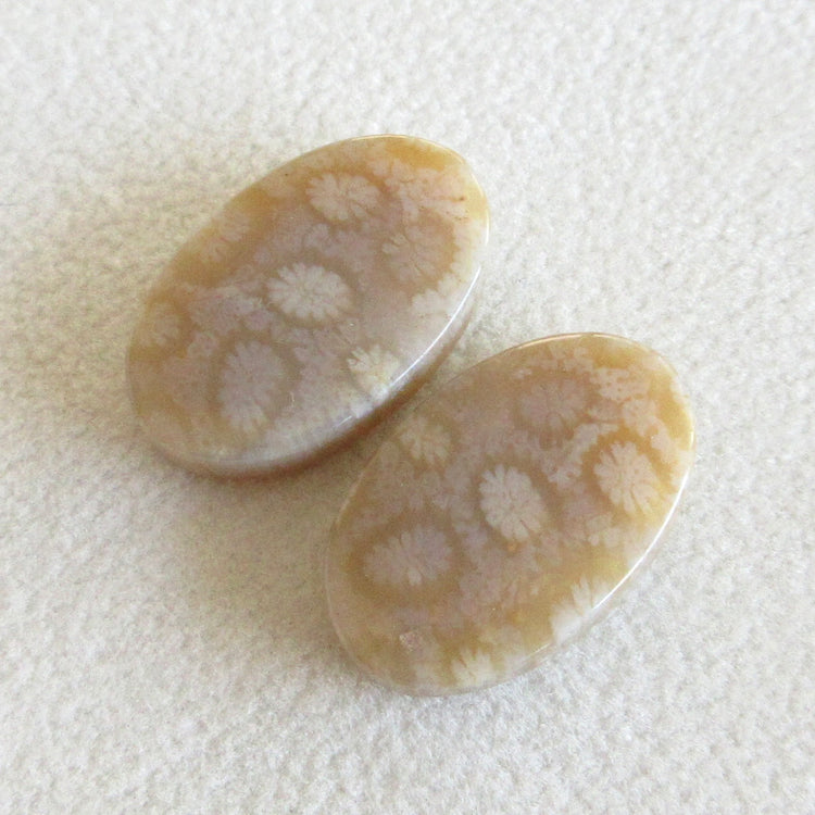 フォッシルコーラル 天然石ルースペア