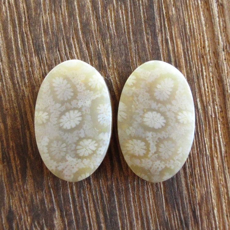 フォッシルコーラル 天然石ルースペア