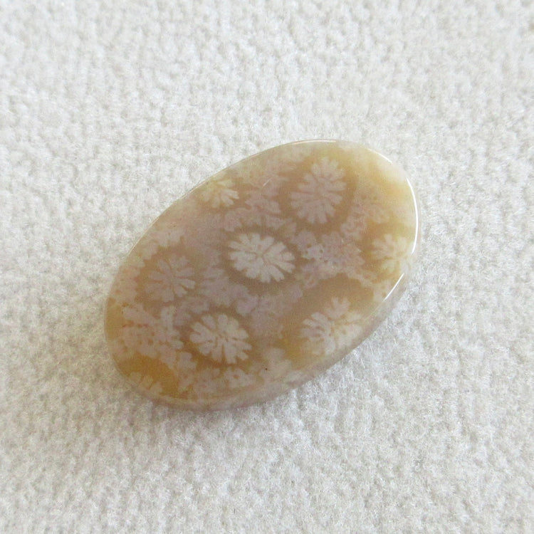 フォッシルコーラル 天然石ルースペア