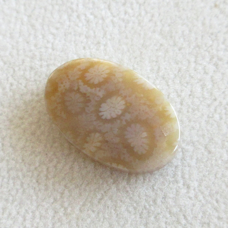 フォッシルコーラル 天然石ルースペア