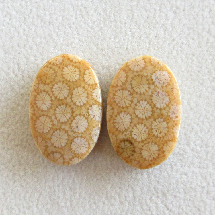 フォッシルコーラル 天然石ルースペア