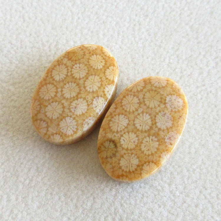 フォッシルコーラル 天然石ルースペア