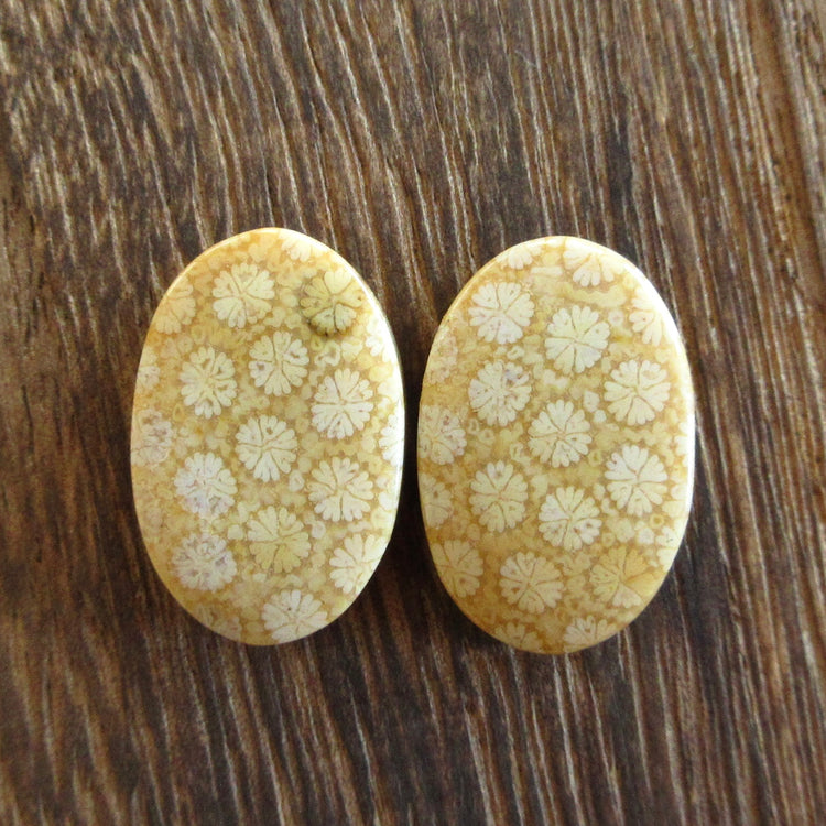 フォッシルコーラル 天然石ルースペア