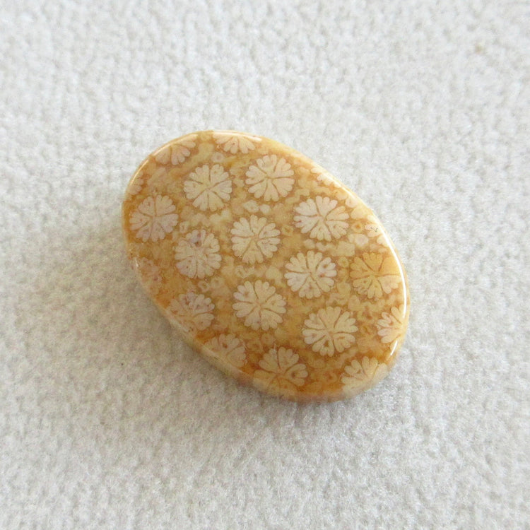 フォッシルコーラル 天然石ルースペア