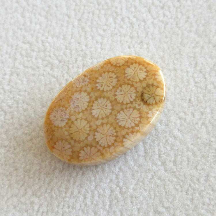 フォッシルコーラル 天然石ルースペア