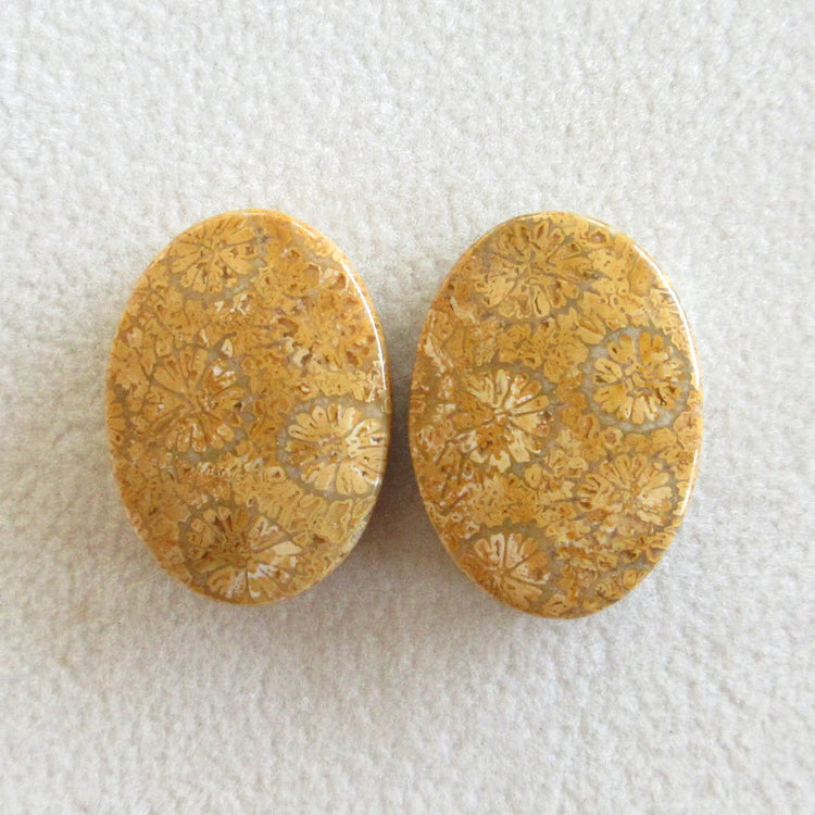 フォッシルコーラル 天然石ルースペア