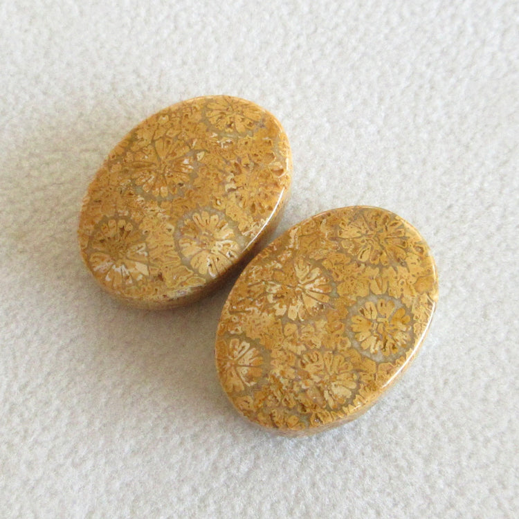 フォッシルコーラル 天然石ルースペア