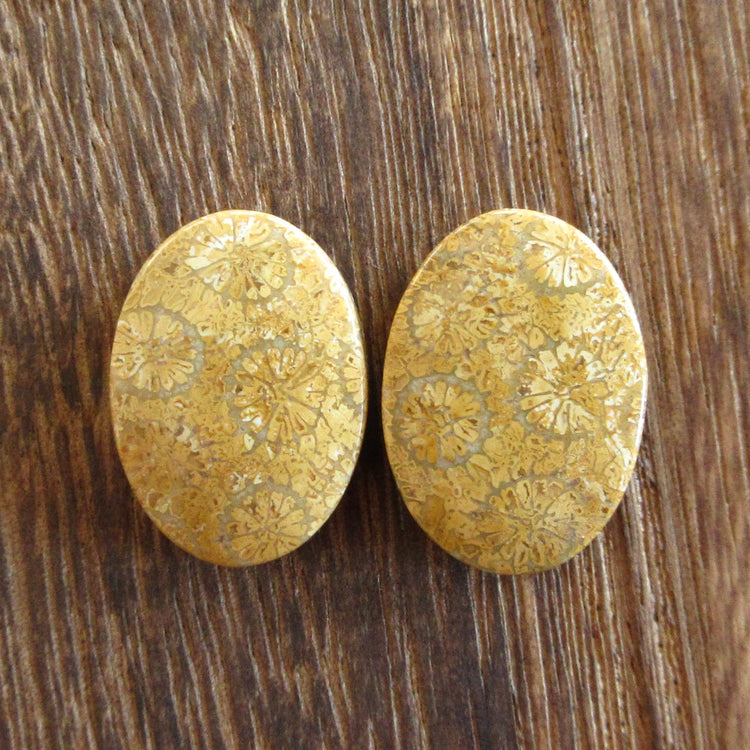 フォッシルコーラル 天然石ルースペア