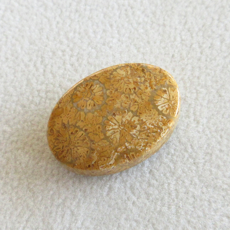 フォッシルコーラル 天然石ルースペア