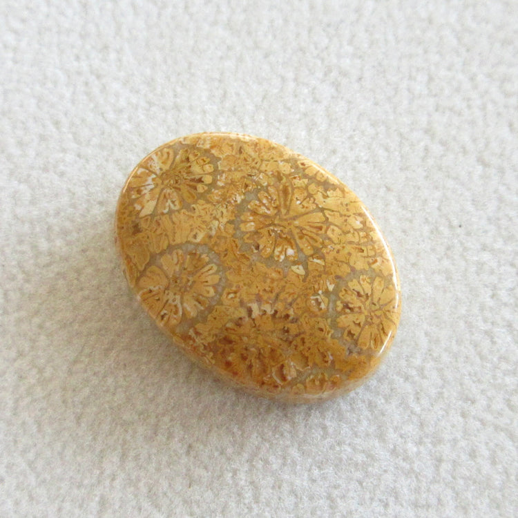 フォッシルコーラル 天然石ルースペア