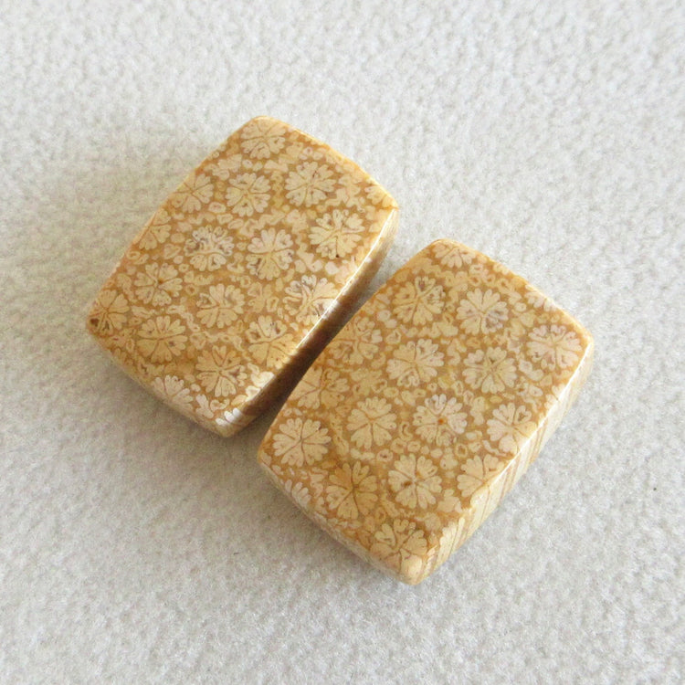 フォッシルコーラル 天然石ルースペア