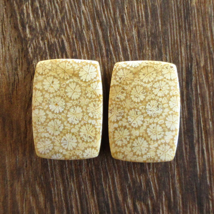 フォッシルコーラル 天然石ルースペア