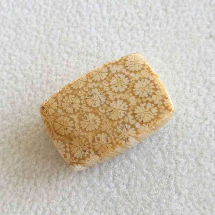 フォッシルコーラル 天然石ルースペア