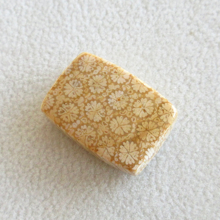 フォッシルコーラル 天然石ルースペア