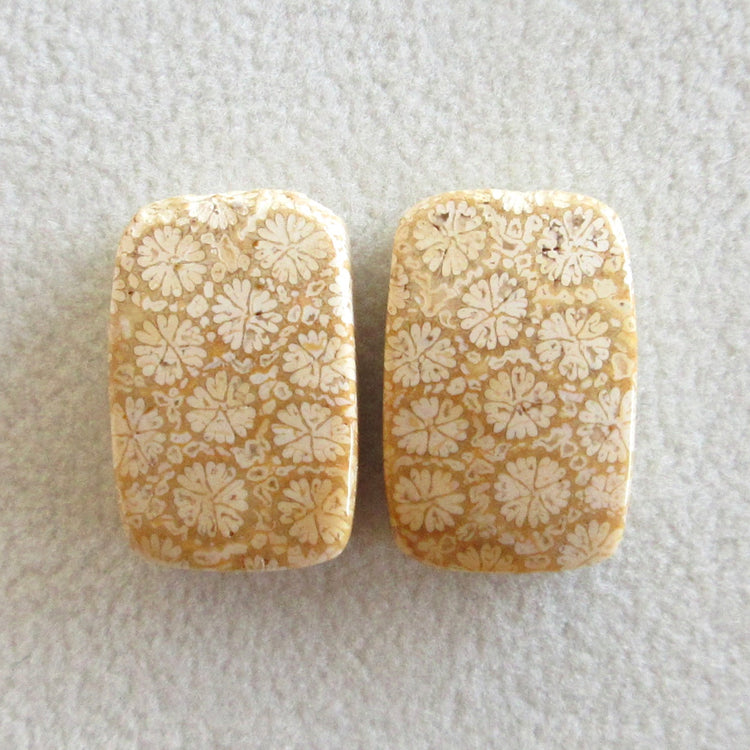 フォッシルコーラル 天然石ルースペア