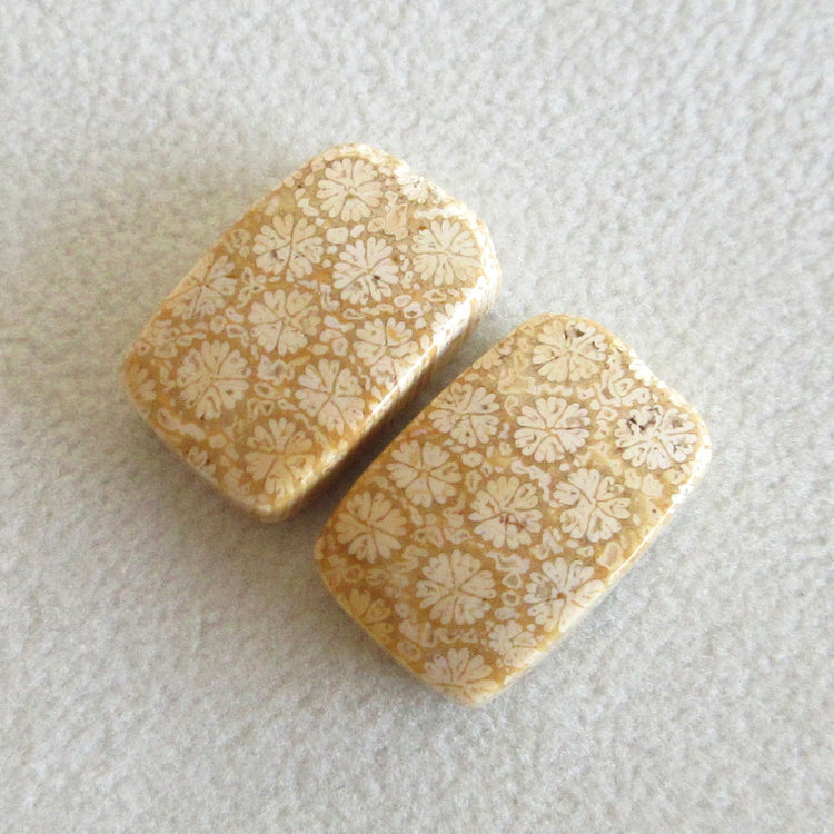 フォッシルコーラル 天然石ルースペア