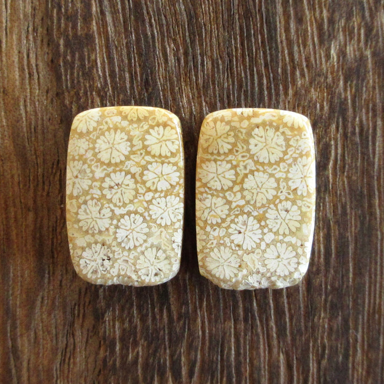 フォッシルコーラル 天然石ルースペア