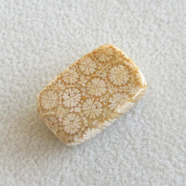 フォッシルコーラル 天然石ルースペア