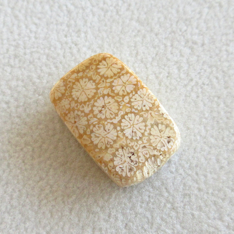 フォッシルコーラル 天然石ルースペア