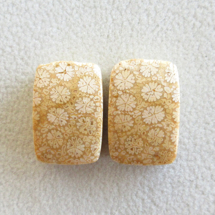 フォッシルコーラル 天然石ルースペア