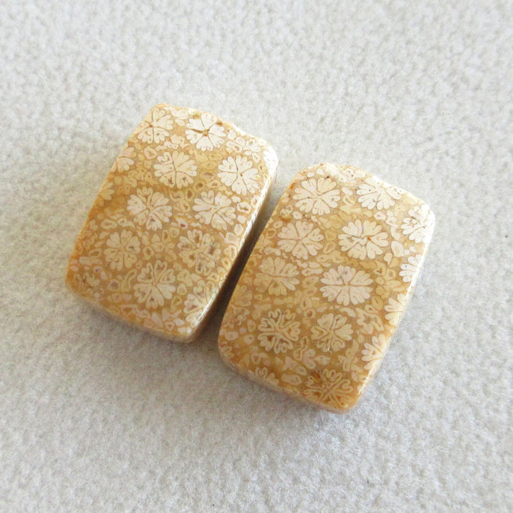 フォッシルコーラル 天然石ルースペア