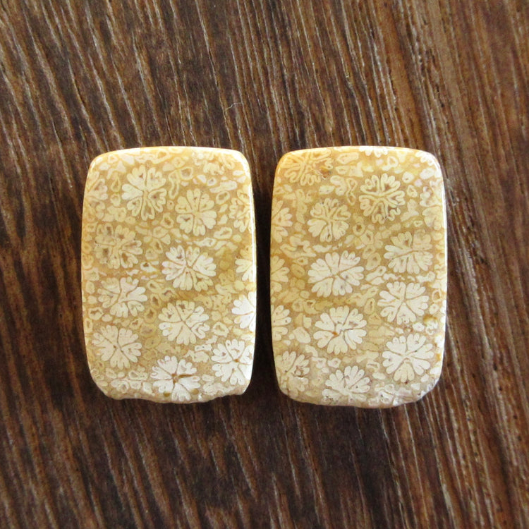 フォッシルコーラル 天然石ルースペア