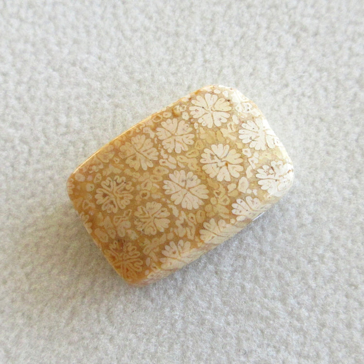 フォッシルコーラル 天然石ルースペア