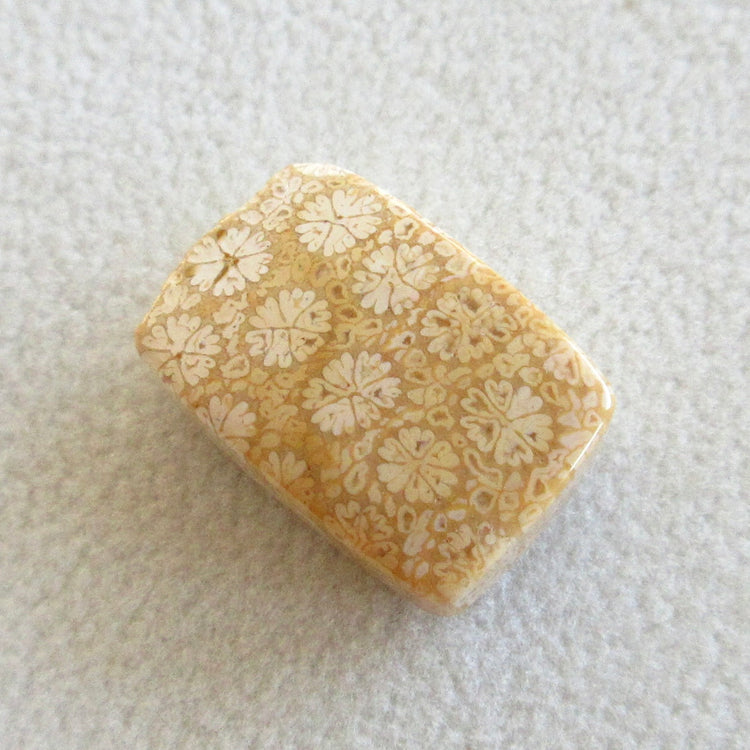 フォッシルコーラル 天然石ルースペア