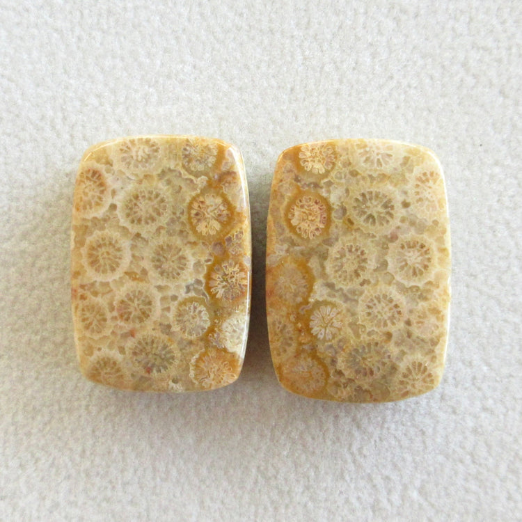 フォッシルコーラル 天然石ルースペア