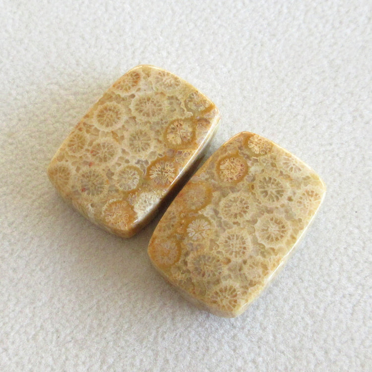 フォッシルコーラル 天然石ルースペア