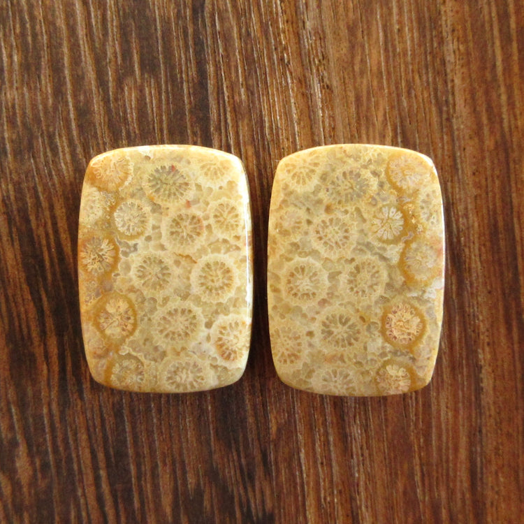 フォッシルコーラル 天然石ルースペア