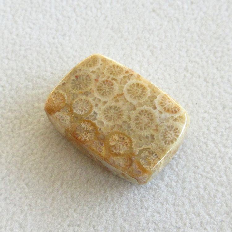 フォッシルコーラル 天然石ルースペア