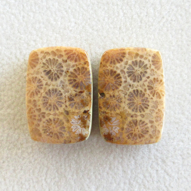 フォッシルコーラル 天然石ルースペア