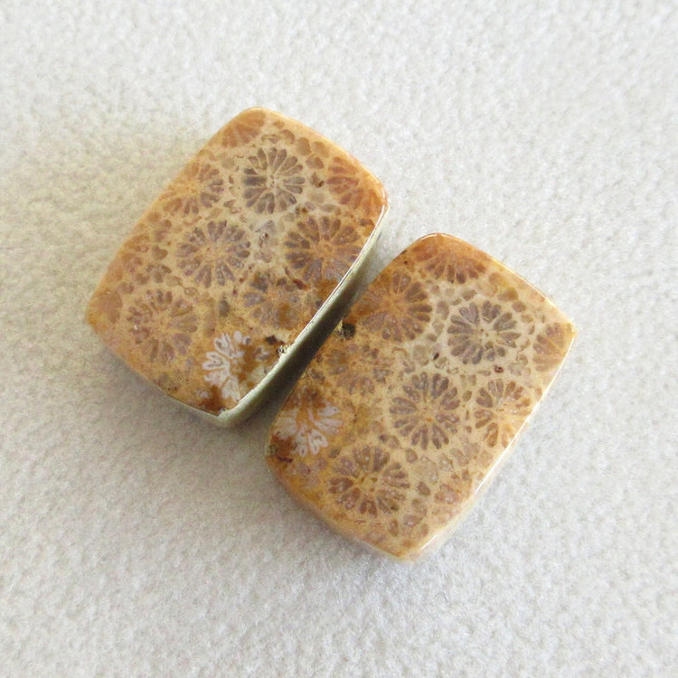 フォッシルコーラル 天然石ルースペア