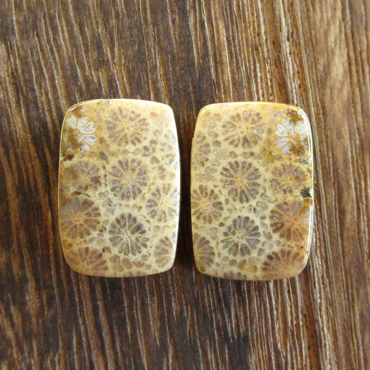 フォッシルコーラル 天然石ルースペア