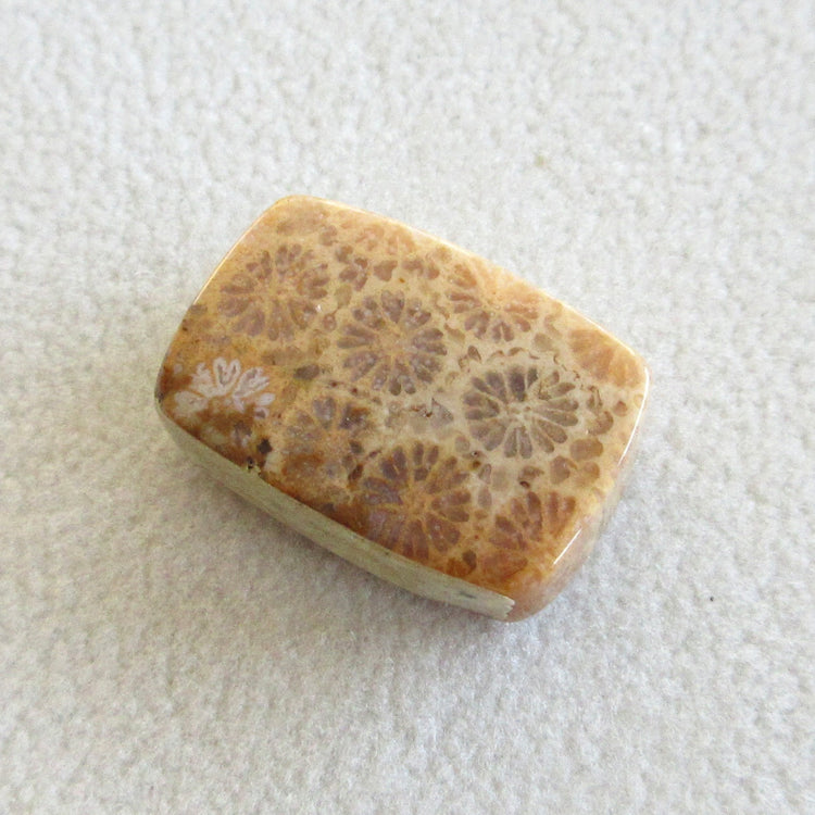 フォッシルコーラル 天然石ルースペア