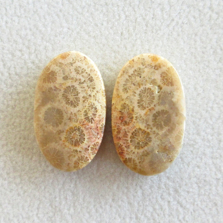 フォッシルコーラル 天然石ルースペア