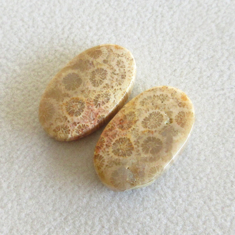 フォッシルコーラル 天然石ルースペア