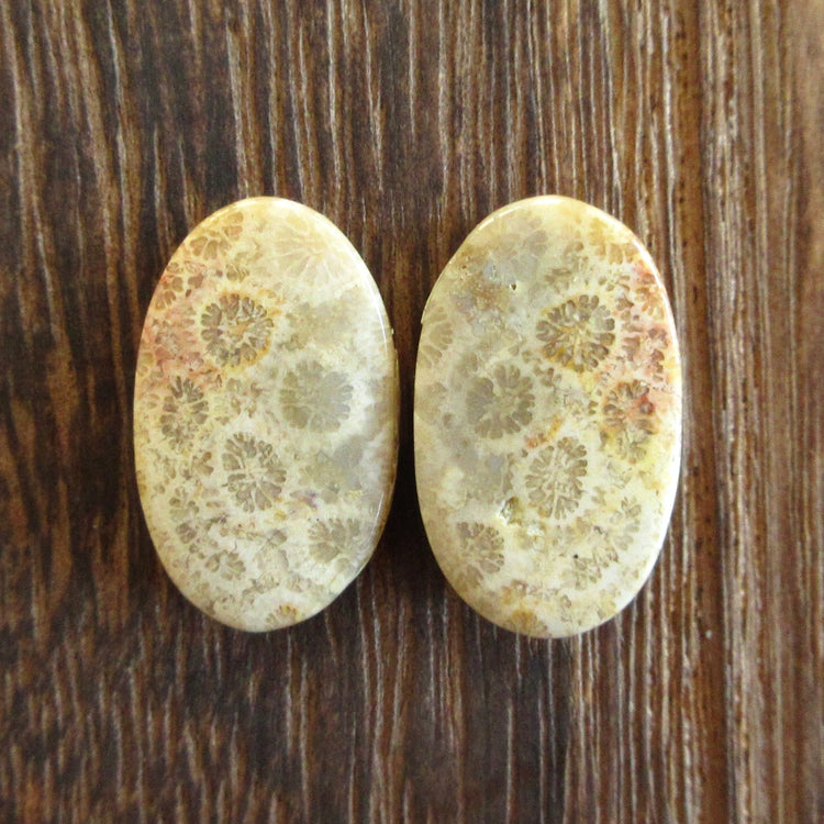 フォッシルコーラル 天然石ルースペア